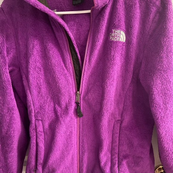 The North Face Rich Purple Fleece Jacket - Picture 1 of 6